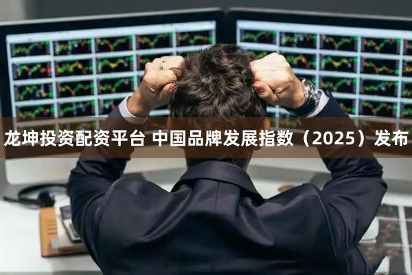 龙坤投资配资平台 中国品牌发展指数（2025）发布