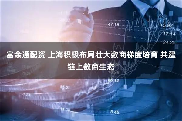 富余通配资 上海积极布局壮大数商梯度培育 共建链上数商生态