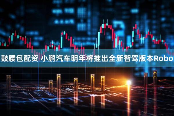 鼓腰包配资 小鹏汽车明年将推出全新智驾版本Robo