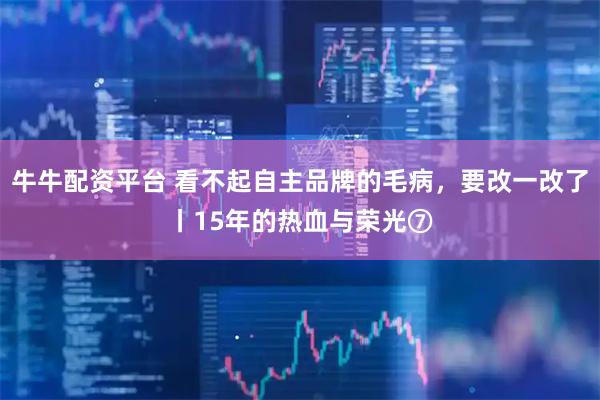 牛牛配资平台 看不起自主品牌的毛病，要改一改了丨15年的热血与荣光⑦