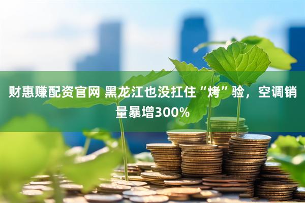财惠赚配资官网 黑龙江也没扛住“烤”验，空调销量暴增300%