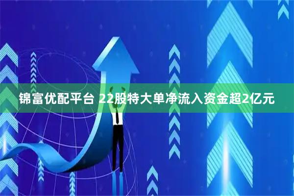锦富优配平台 22股特大单净流入资金超2亿元