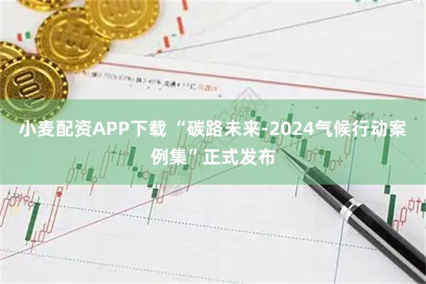 小麦配资APP下载 “碳路未来-2024气候行动案例集”正式发布