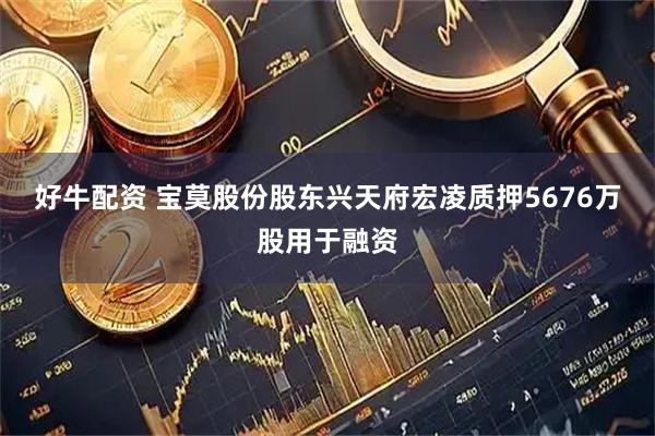 好牛配资 宝莫股份股东兴天府宏凌质押5676万股用于融资