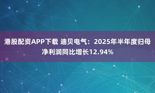 港股配资APP下载 迪贝电气：2025年半年度归母净利润同比增长12.94%