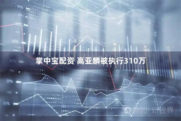 掌中宝配资 高亚麟被执行310万