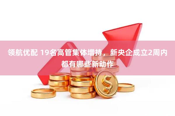领航优配 19名高管集体增持，新央企成立2周内都有哪些新动作