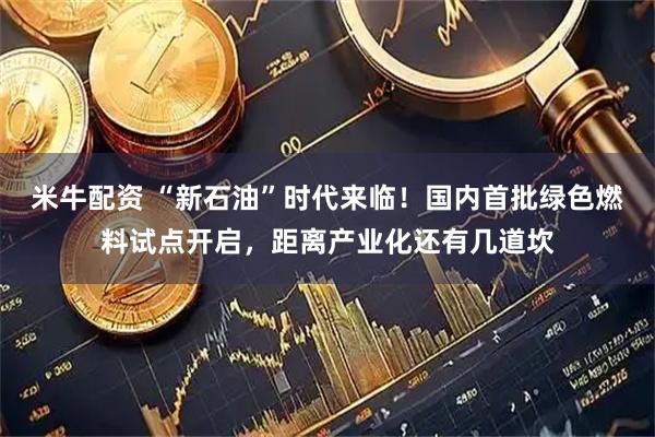 米牛配资 “新石油”时代来临！国内首批绿色燃料试点开启，距离产业化还有几道坎