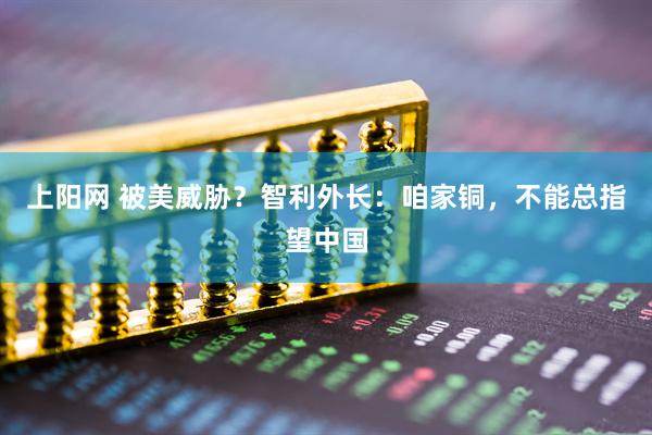 上阳网 被美威胁？智利外长：咱家铜，不能总指望中国